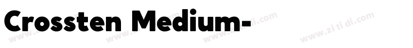 Crossten Medium字体转换